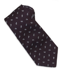 Paisley Tie