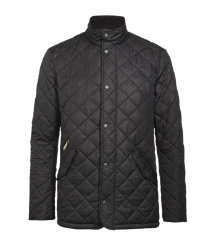 Chelsea Sportsquilt Jacket