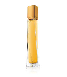 Very Irresistible Winter (EDP, 50ml)