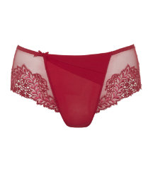Divin Short Brief