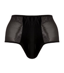Silk High Waisted Thong