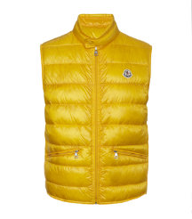 Gui Gilet