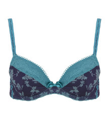 Hollywood Pin Up Plunge Bra