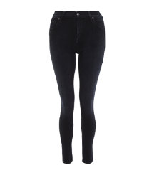 Avedon Slick Jegging in Ever