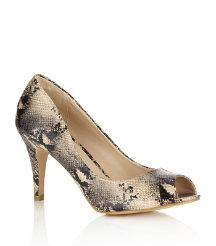 Anteater Court Shoe