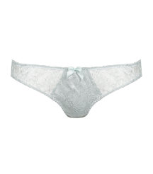 Snowberry Brief