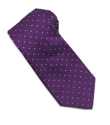 Classic Spot Tie