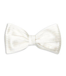 Silk Pleated Bow Tie