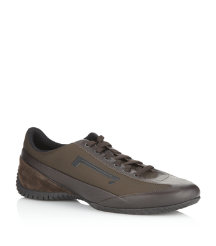 Rex Mesh Trainer