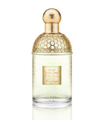 Aqua Allegoria Herba Fresca (EDT, 75ml)