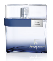 F by Ferragamo pour Homme Free Time (100ml)