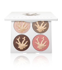 Coral Reef Palette