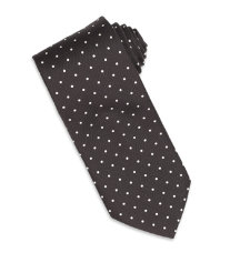 Spotted Silk Tie