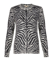 Zebra Jumper